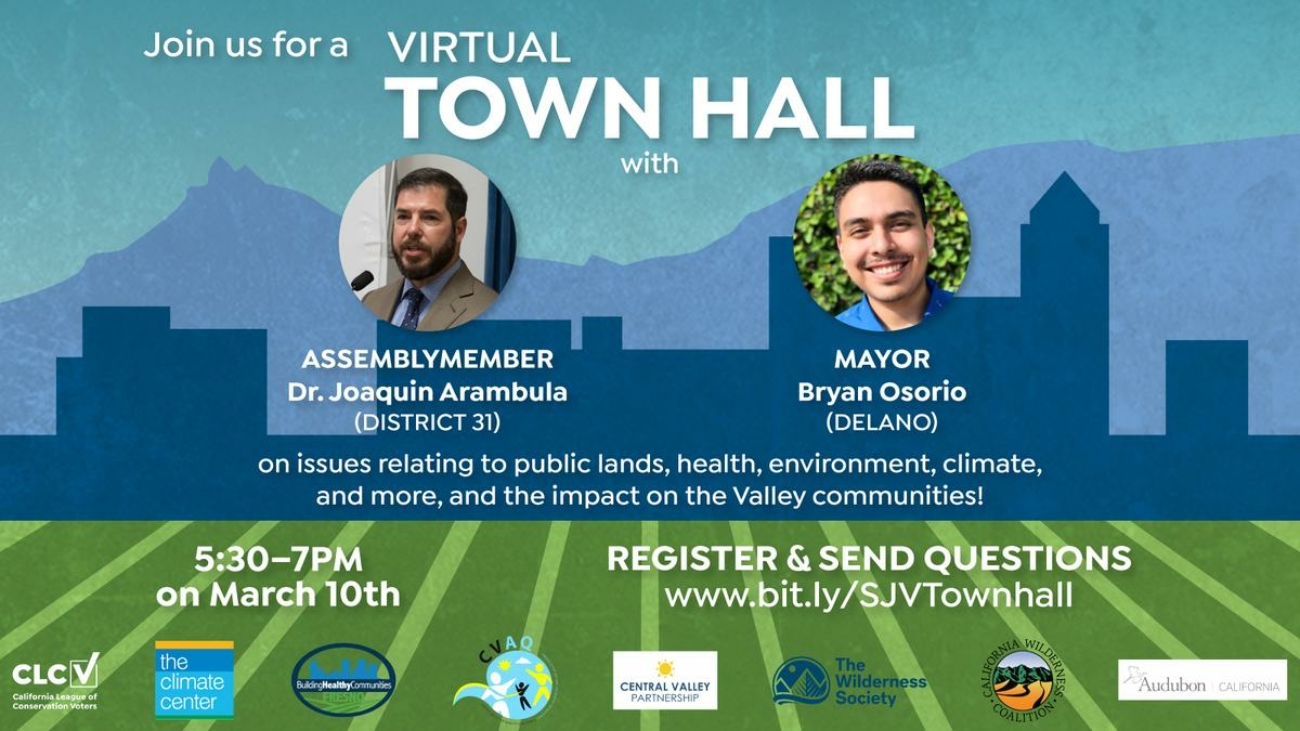 Virtual_Town_Hall