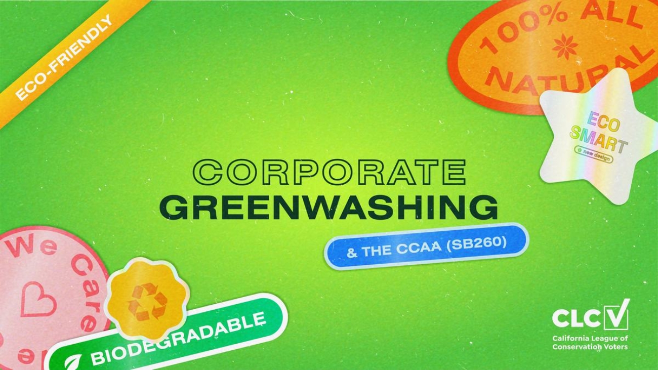 corporate-greenwashing-banner