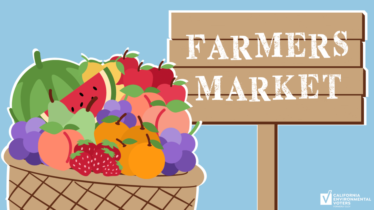 Farmers Market - Newsletter (Twitter Post)