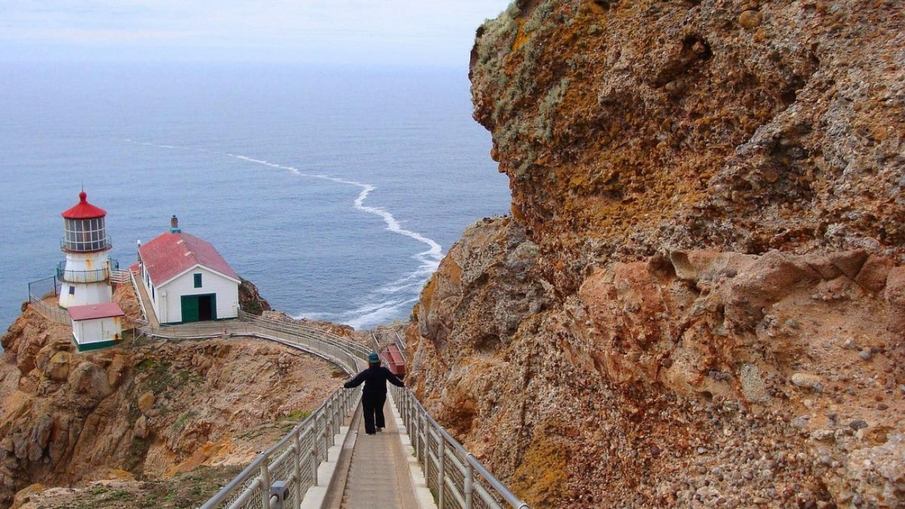 point reyes newsletter 1600x900